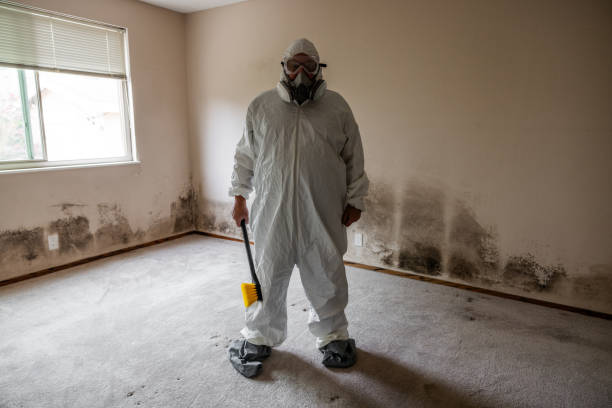 Washington, MO Mold Remediation Company